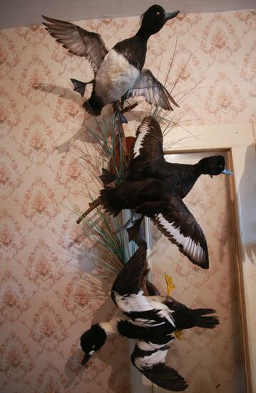 Taxidermist Sergei Sukhoverov