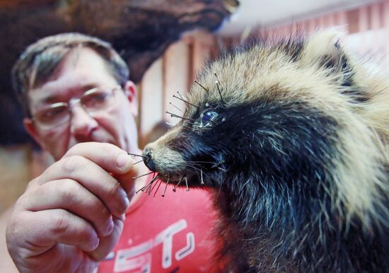Taxidermist Sergei Sukhoverov