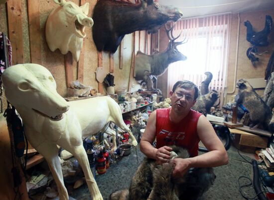 Taxidermist Sergei Sukhoverov