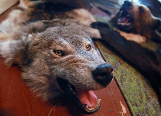 Taxidermist Sergei Sukhoverov