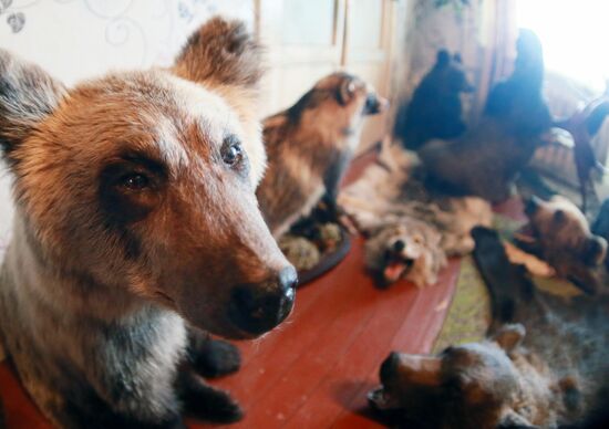 Taxidermist Sergei Sukhoverov