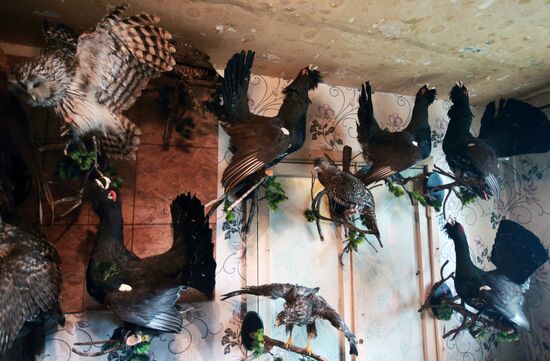 Taxidermist Sergei Sukhoverov