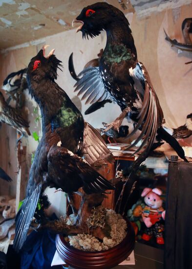 Taxidermist Sergei Sukhoverov