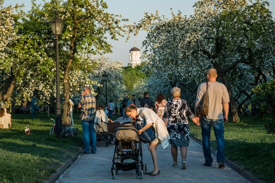 Muscovites visit Kolomenskoye park and estate