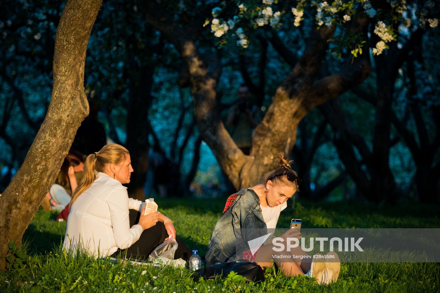 Muscovites visit Kolomenskoye park and estate