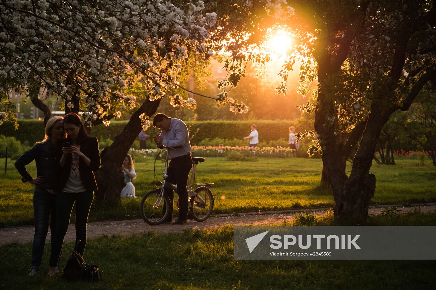 Muscovites visit Kolomenskoye park and estate