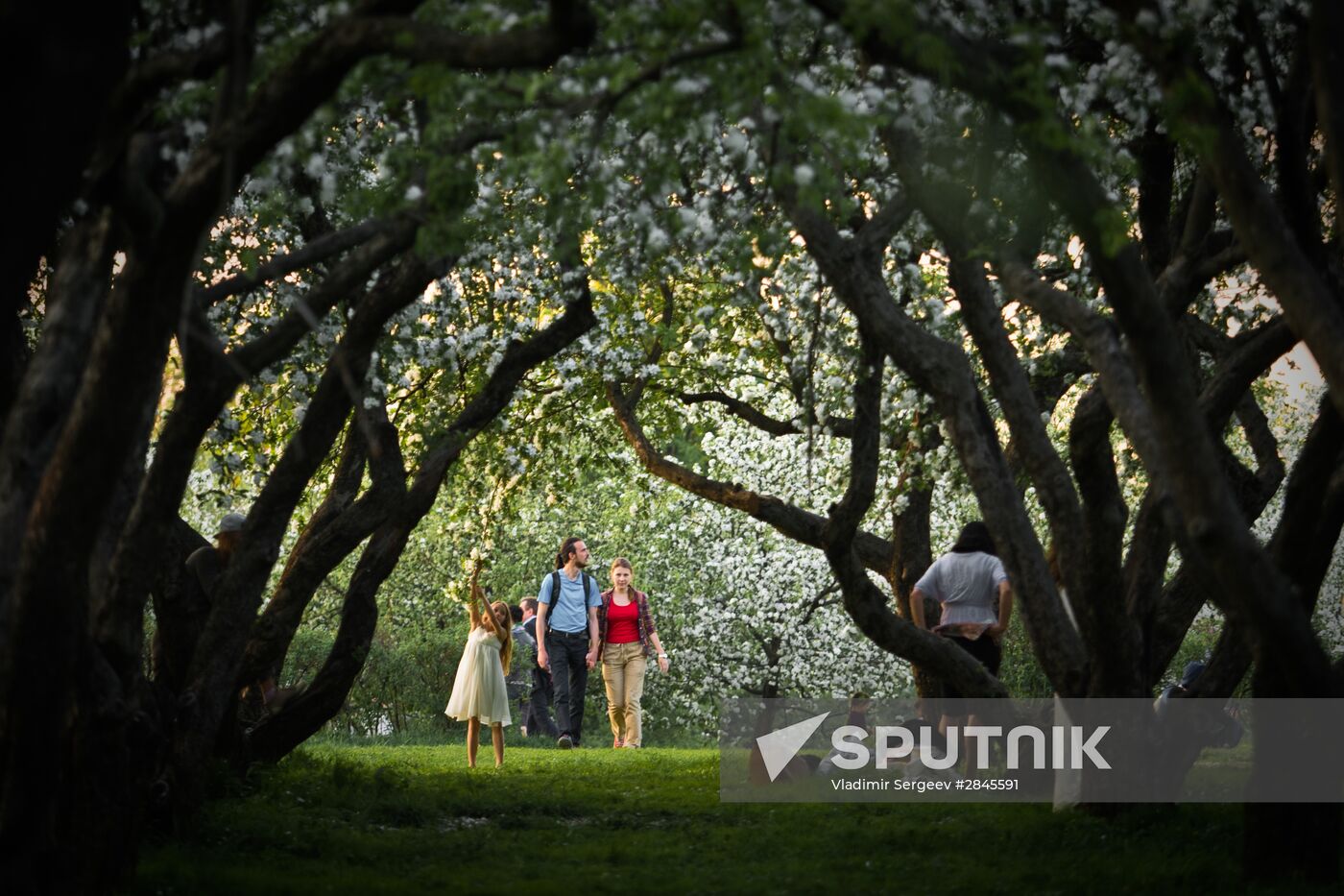 Muscovites visit Kolomenskoye park and estate