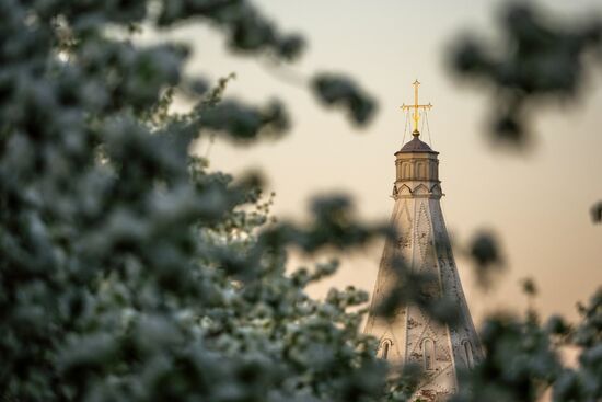 Muscovites visit Kolomenskoye park and estate