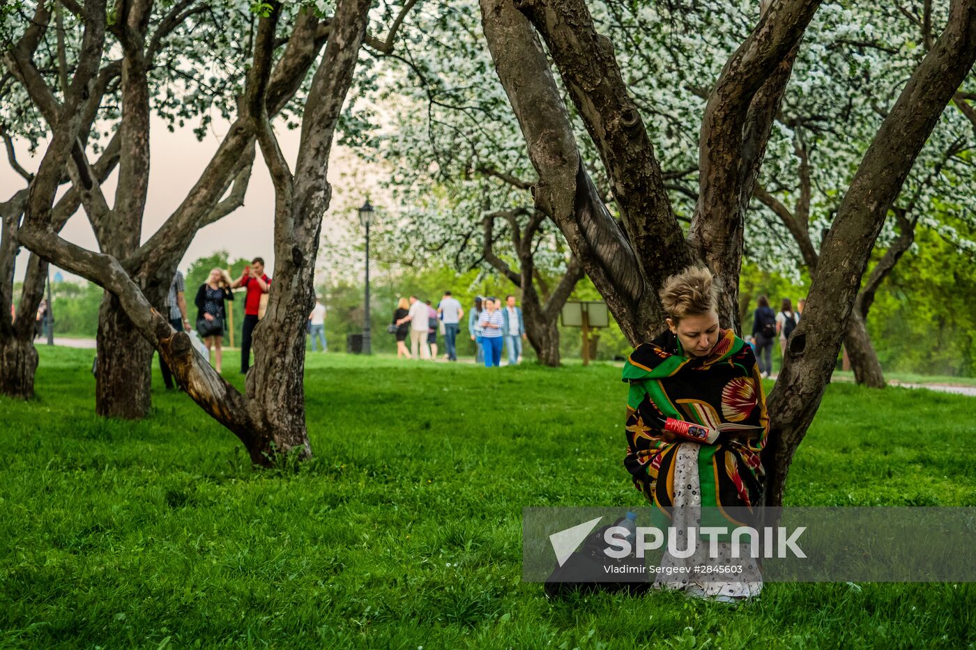 Muscovites visit Kolomenskoye park and estate