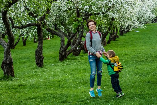 Muscovites visit Kolomenskoye park and estate