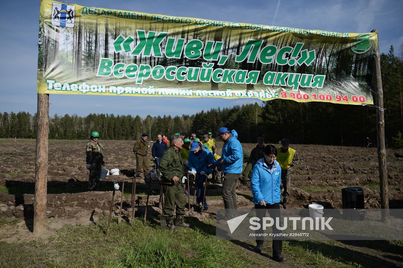 Forest planting nation-wide campaign in Novosibirsk Region