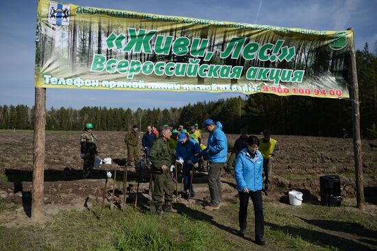 Forest planting nation-wide campaign in Novosibirsk Region
