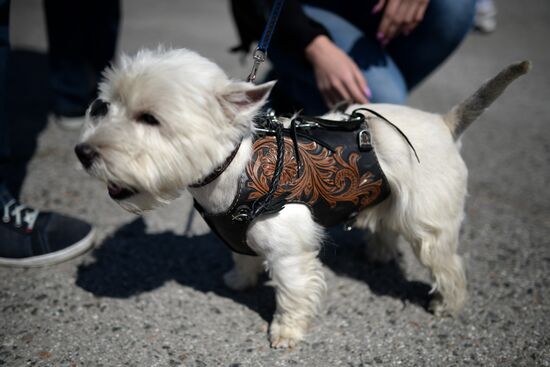 Motorcycle season opens in Novosibirsk