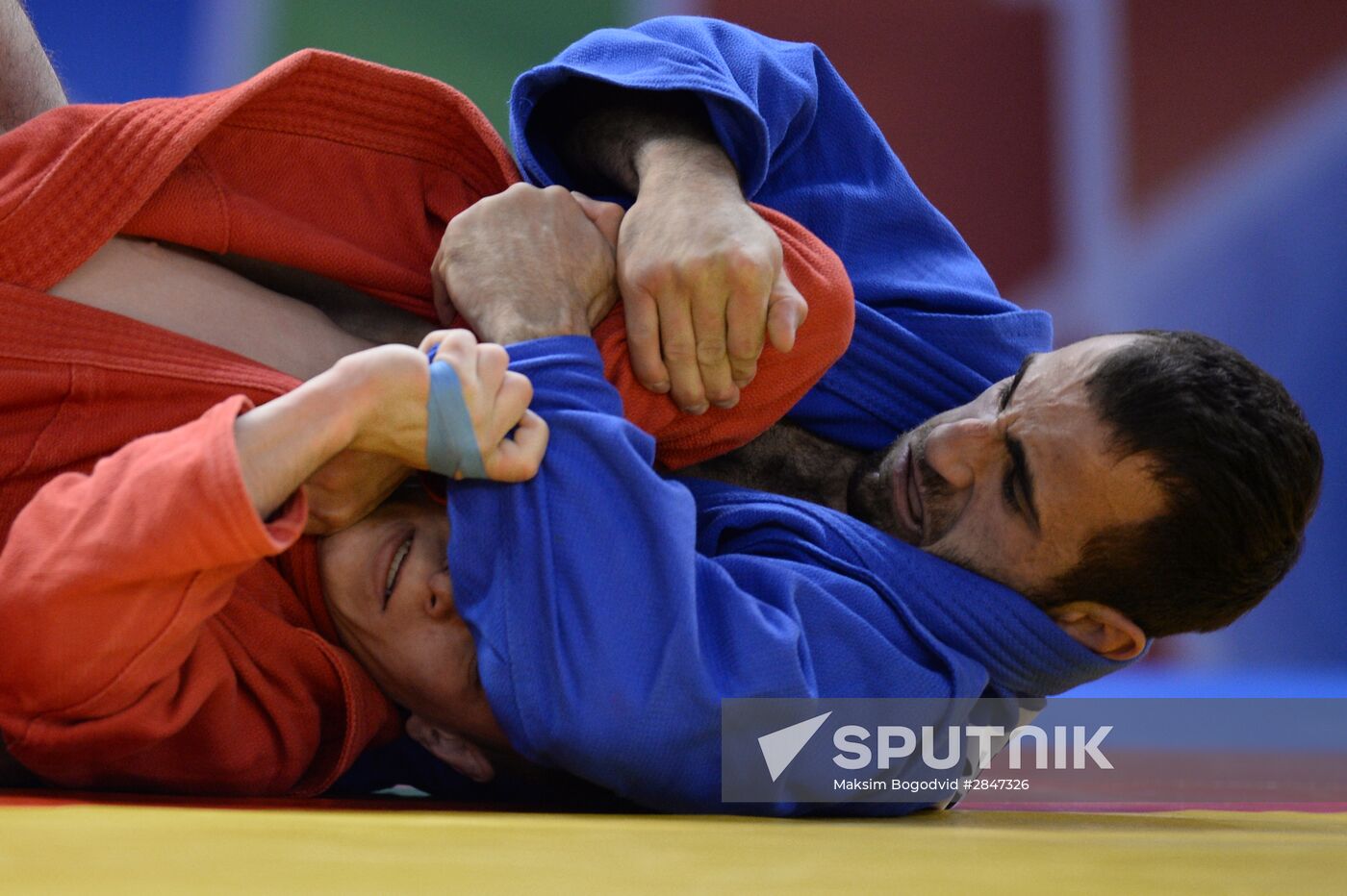 Sambo. European chamionship. Day Two