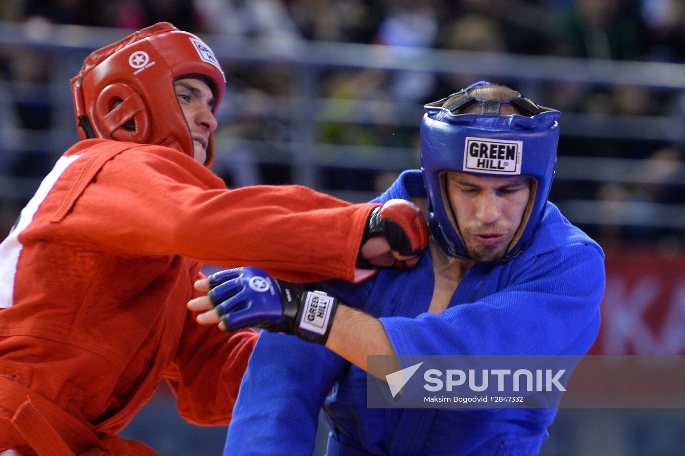 Sambo. European chamionship. Day Two