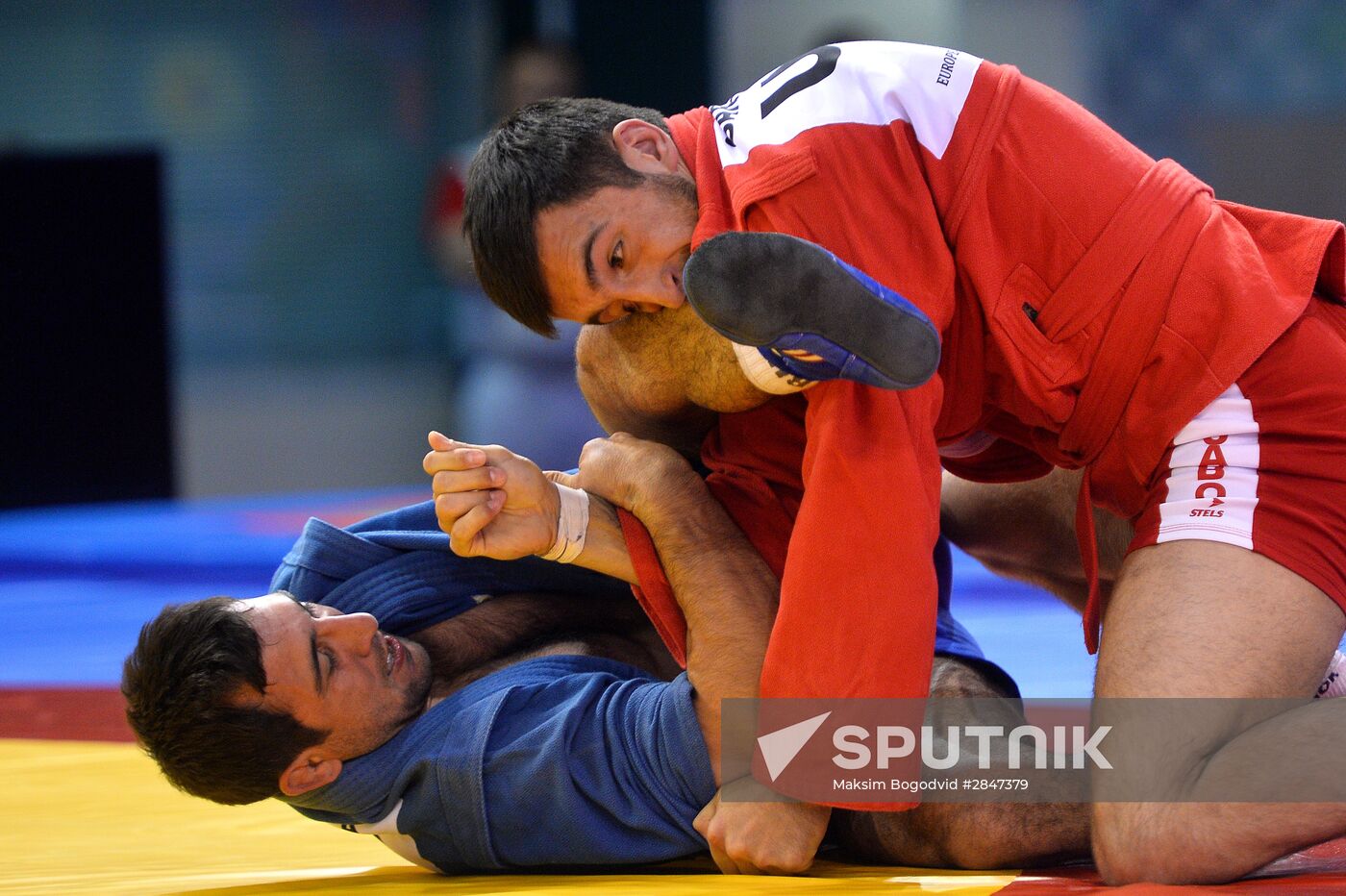 Sambo. European chamionship. Day Two