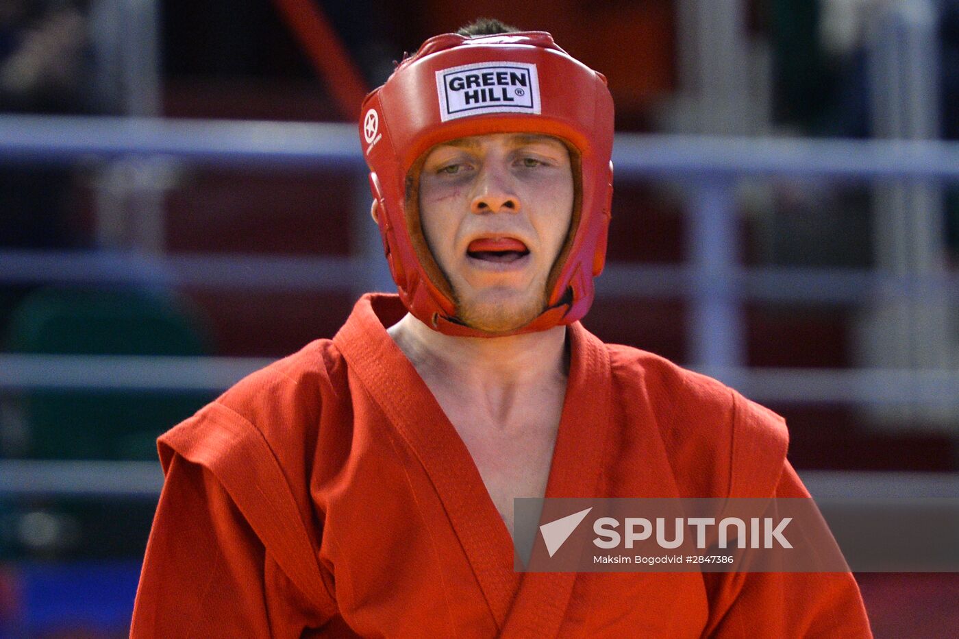 Sambo. European chamionship. Day Two