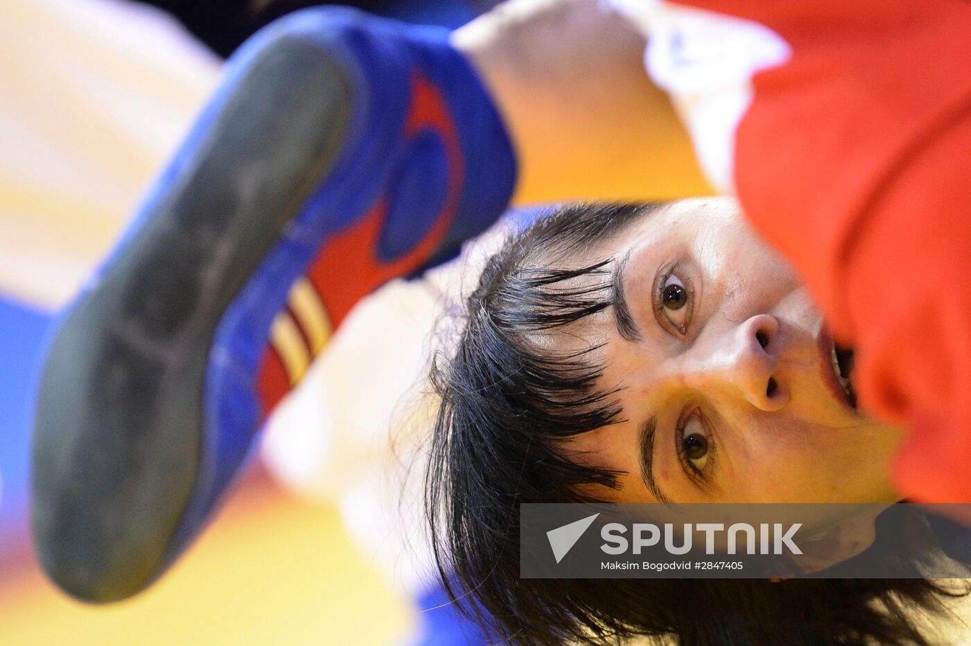 Sambo. European chamionship. Day Two