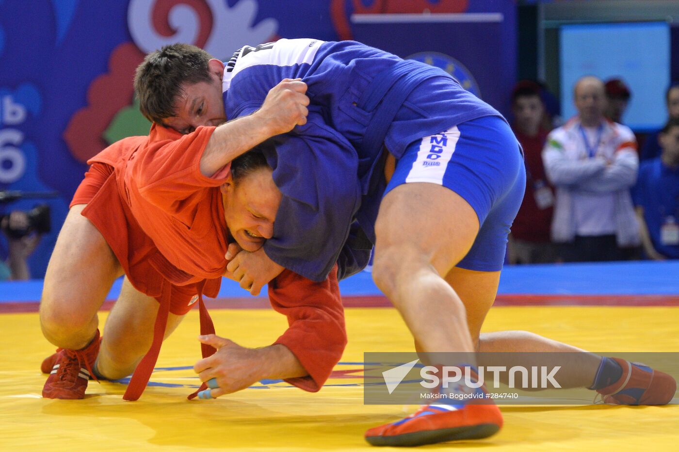 Sambo. European chamionship. Day Two