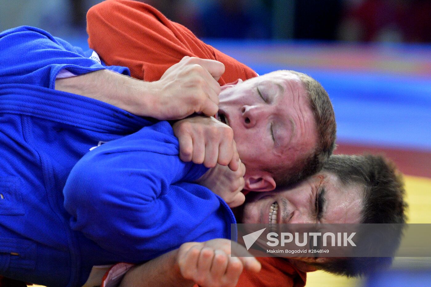 European Sambo Championships. Day Three