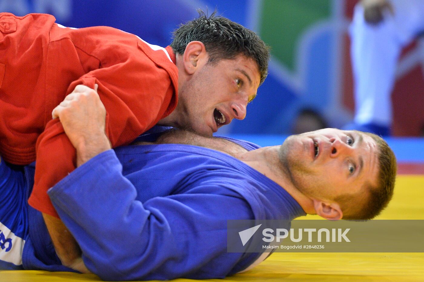 European Sambo Championships. Day Three