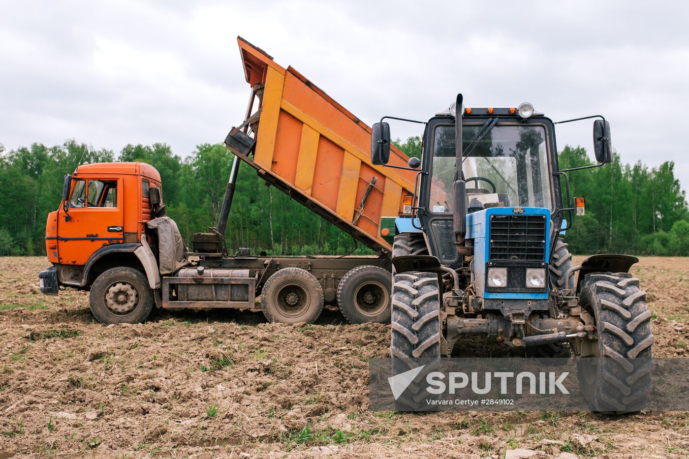 Sowing season in Ivanovo region