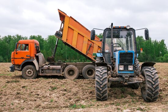 Sowing season in Ivanovo region