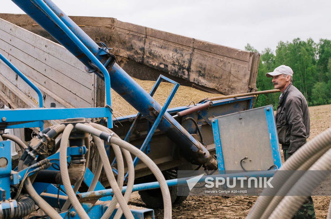 Sowing season in Ivanovo region