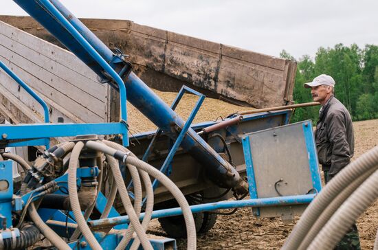 Sowing season in Ivanovo region