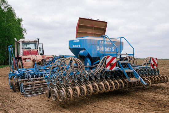Sowing season in Ivanovo region