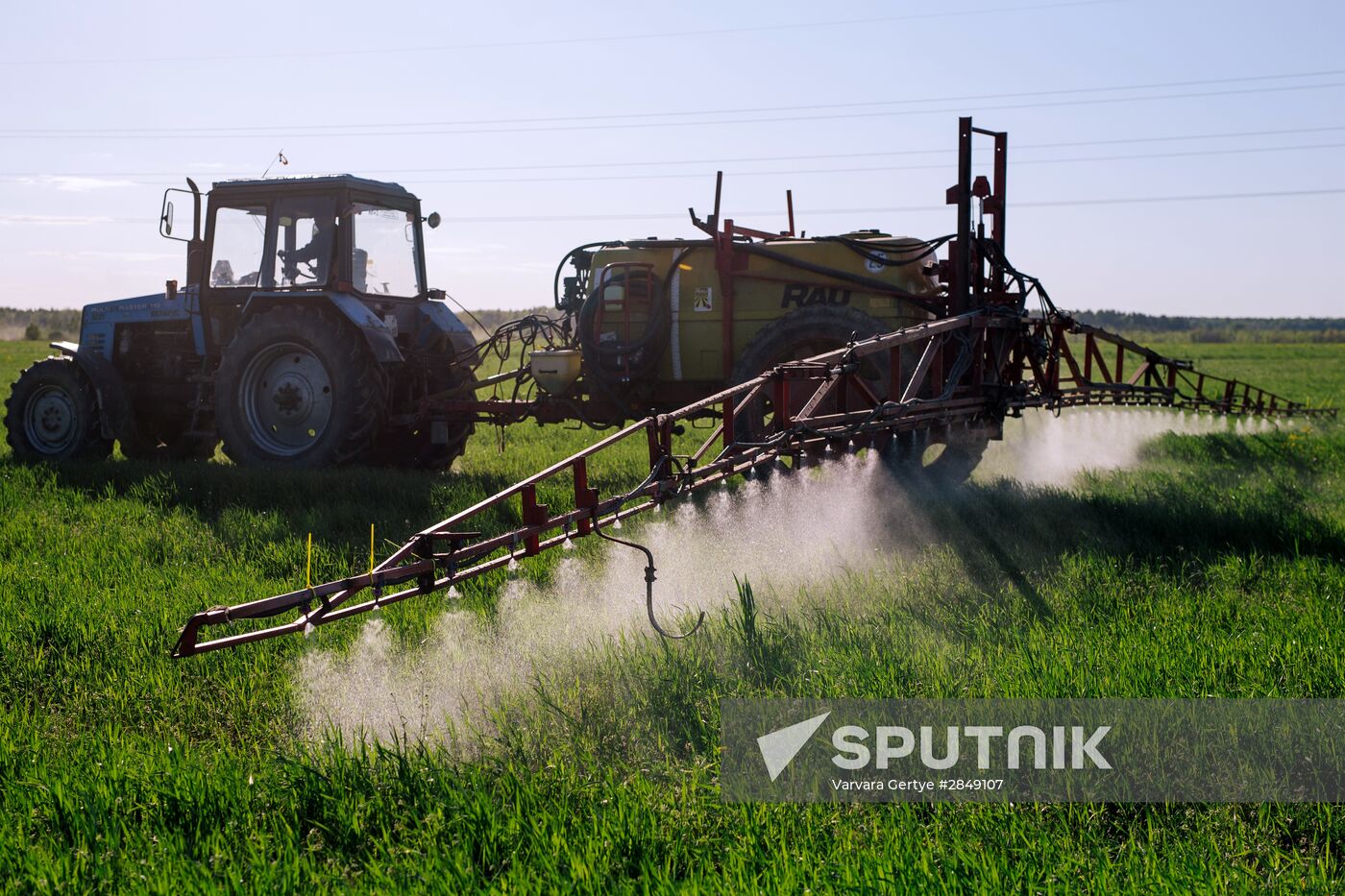 Sowing season in Ivanovo region