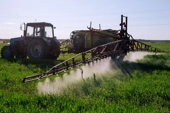 Sowing season in Ivanovo region