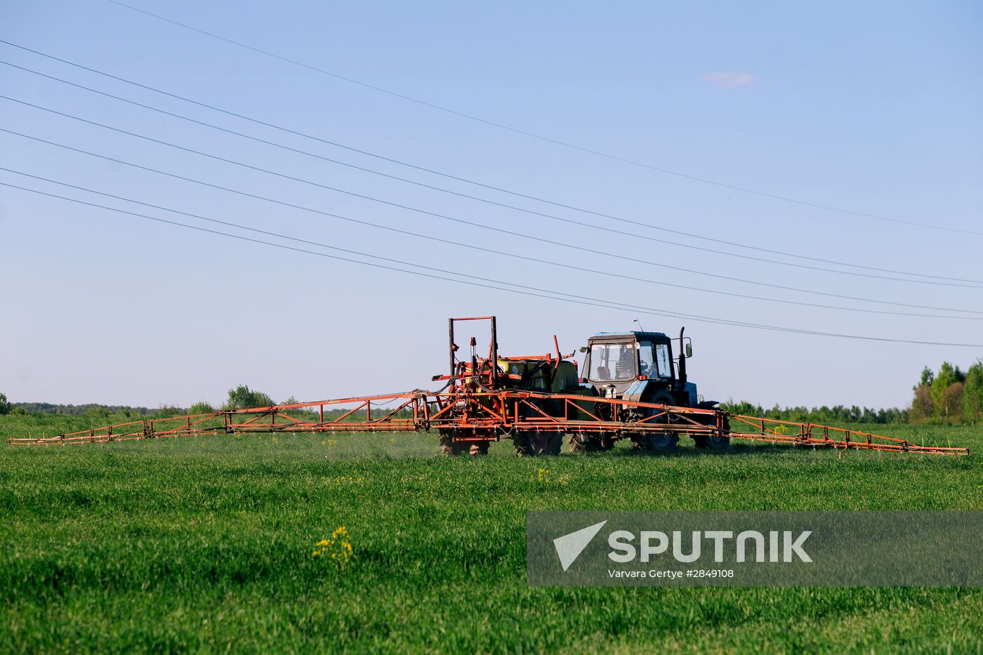 Sowing season in Ivanovo region