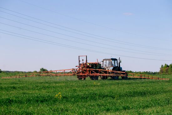 Sowing season in Ivanovo region