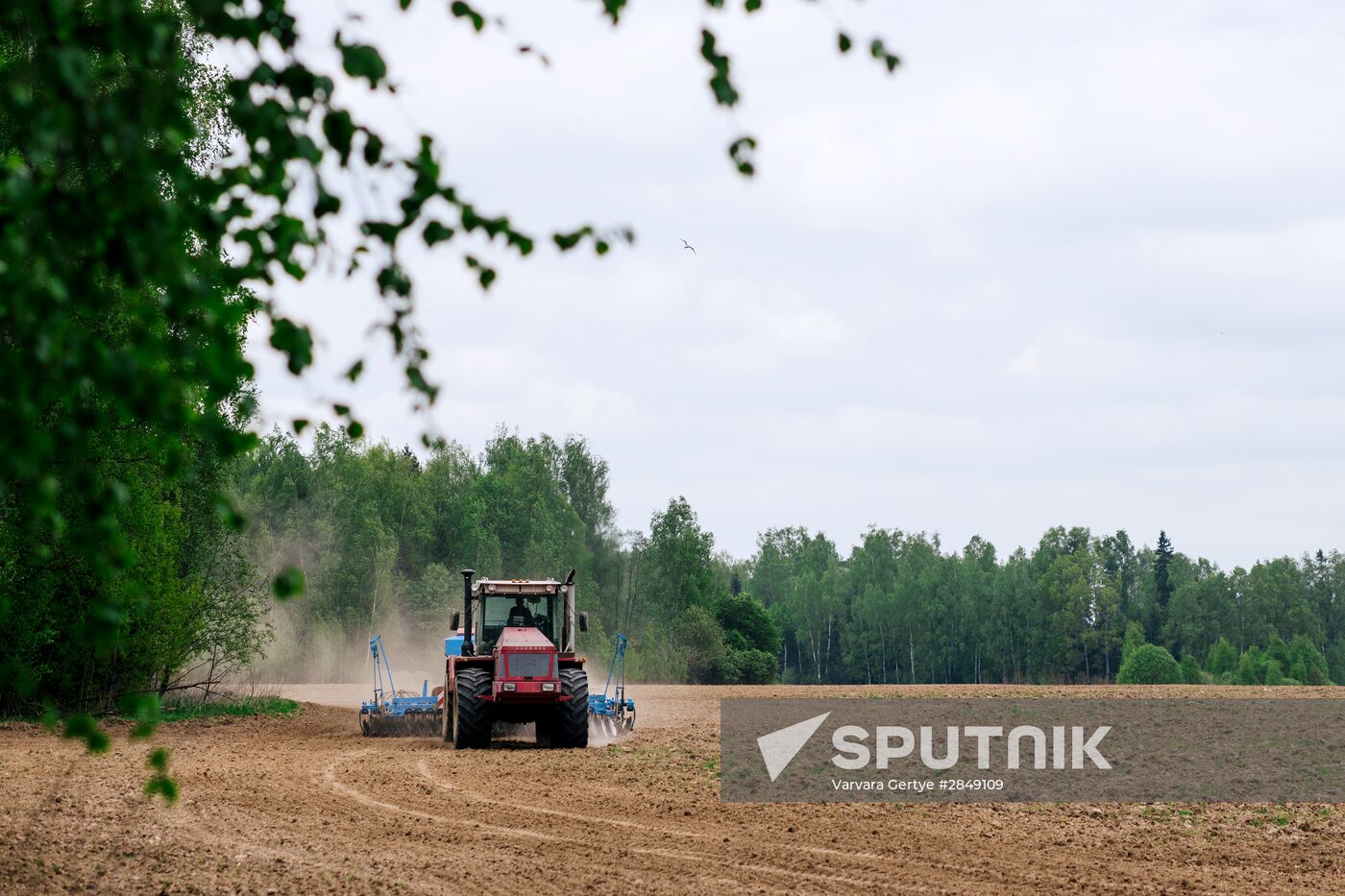 Sowing season in Ivanovo region