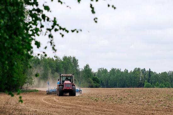 Sowing season in Ivanovo region
