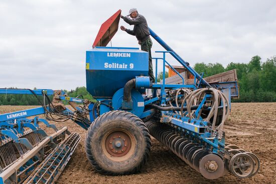 Sowing season in Ivanovo region