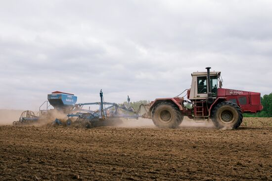 Sowing season in Ivanovo region