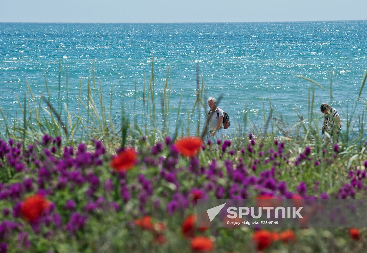 Russian Regions. Crimea