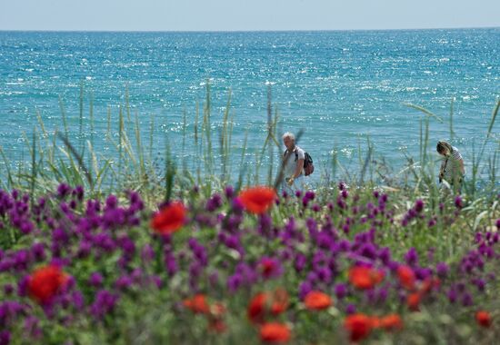 Russian Regions. Crimea