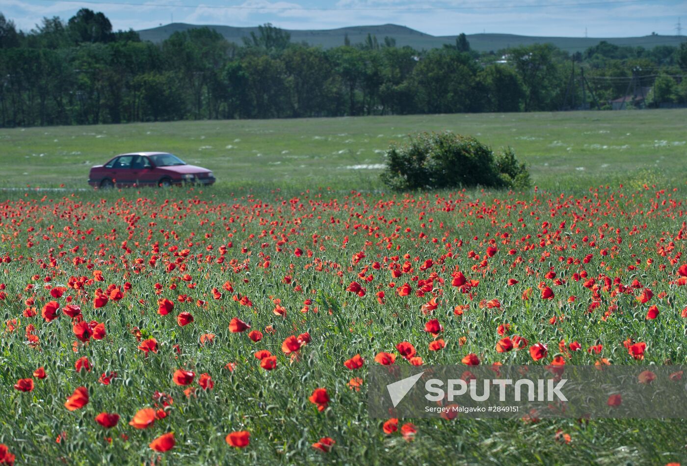 Russian Regions. Crimea