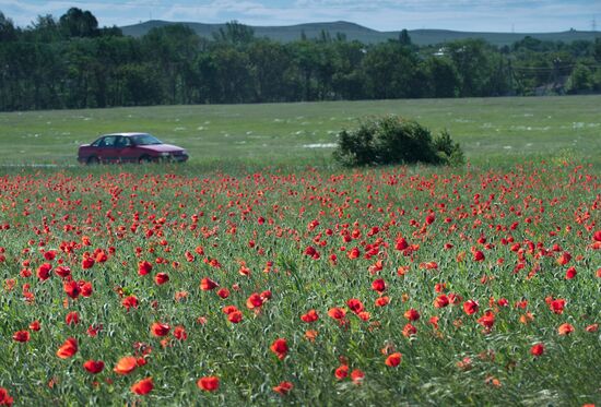 Russian Regions. Crimea