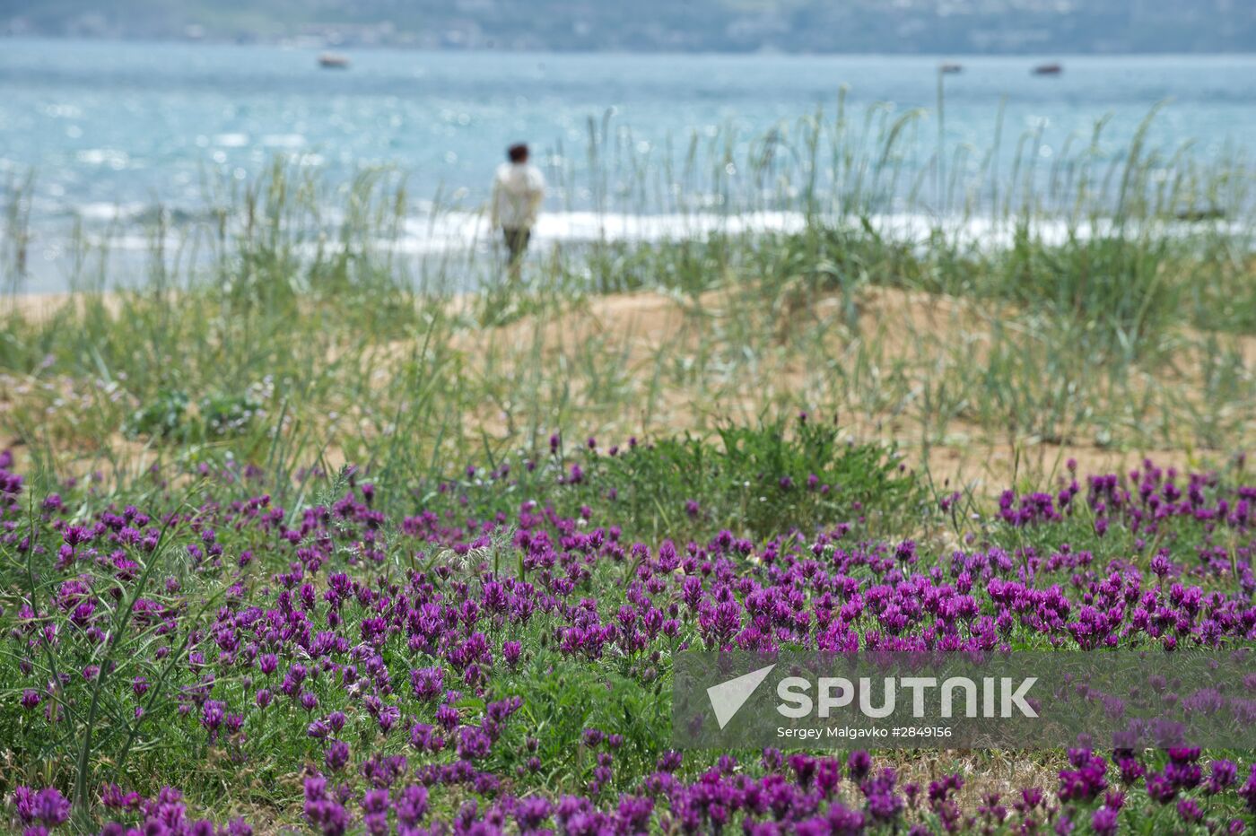Russian Regions. Crimea