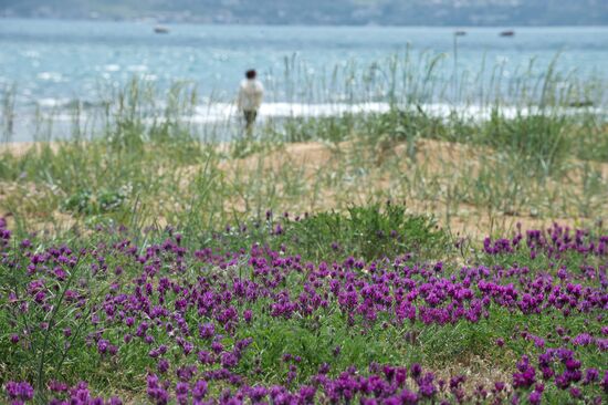Russian Regions. Crimea
