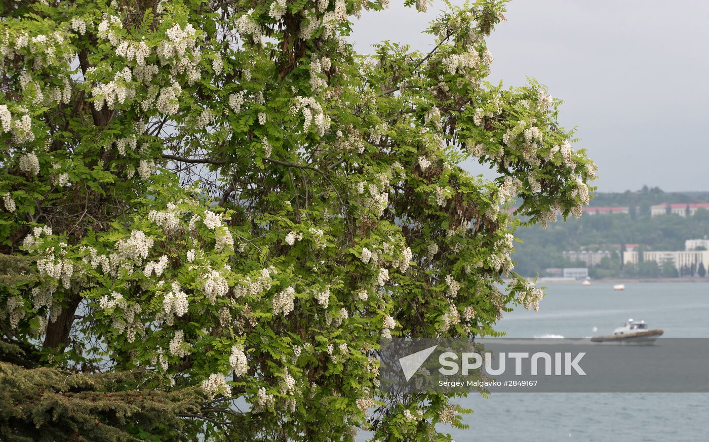 Russian Regions. Crimea