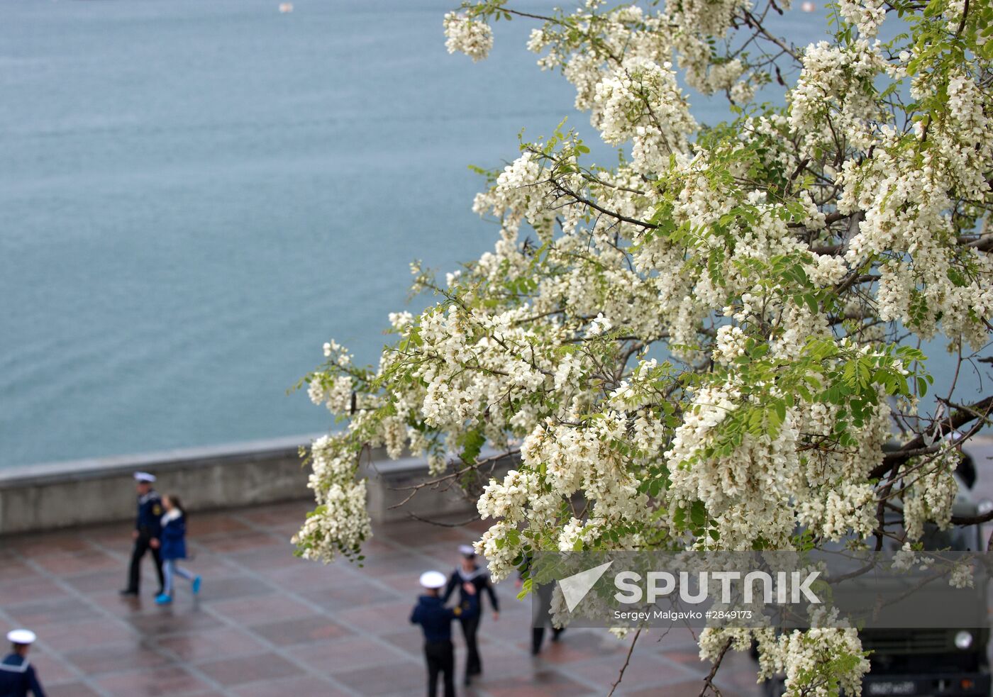 Russian Regions. Crimea