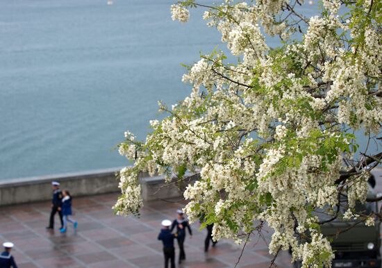 Russian Regions. Crimea