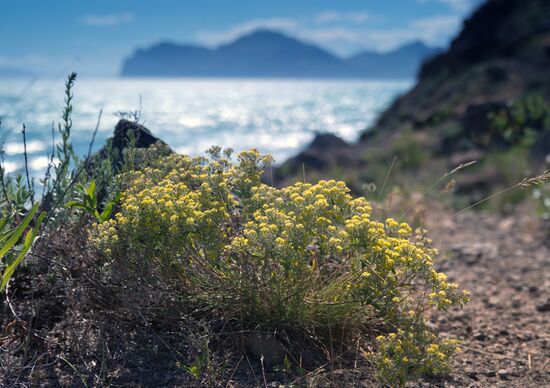 Russian Regions. Crimea
