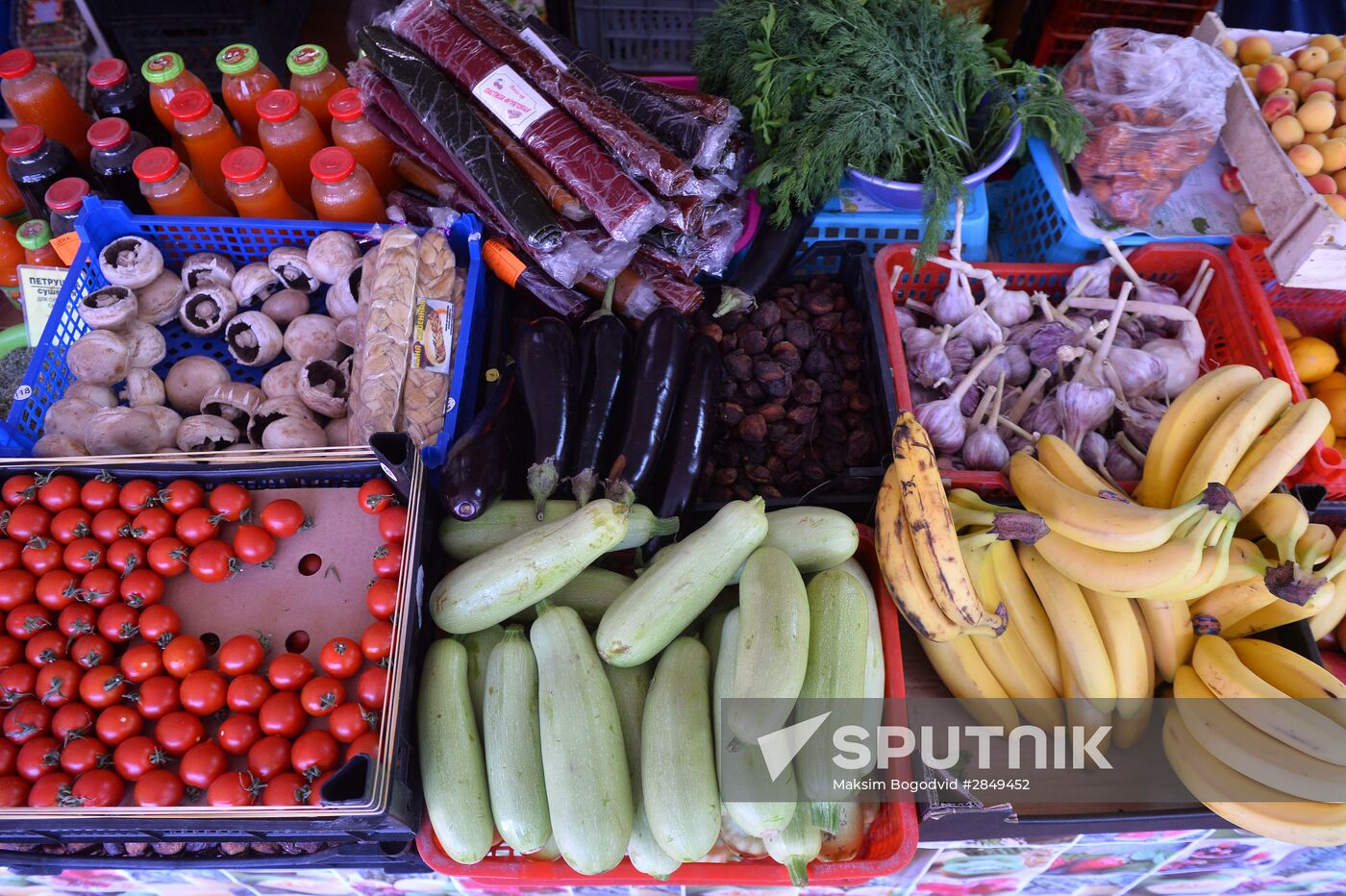 Federal Service for Veterinary and Phytosanitary Surveillance to ban pumpkin and zucchini imports from Turkey