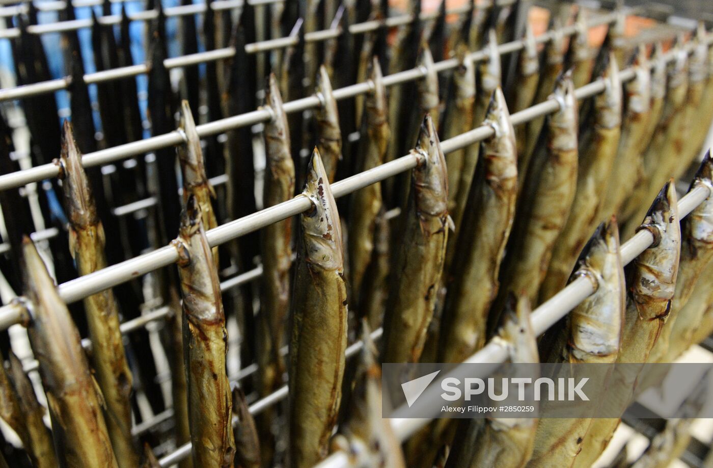 Russkaya Rybnaya Faktoriya fish processing plant in Moscow